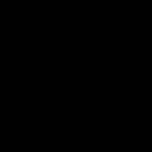 Meet your Posher, Evan